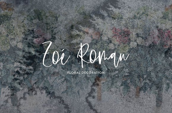 Wild Romance Script Font Wild Romance Script Font