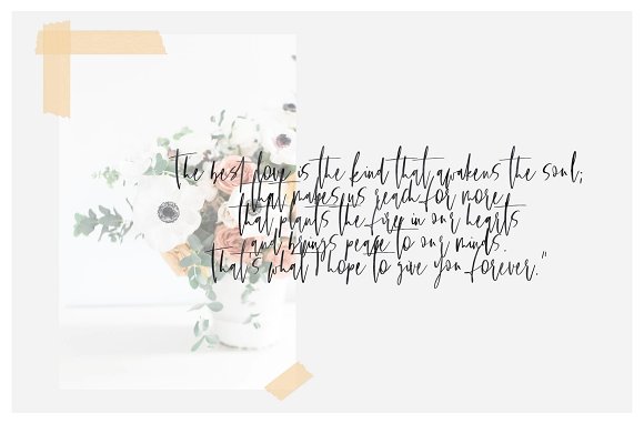 Wild Romance Script Font Wild Romance Script Font