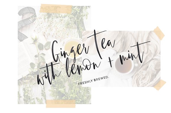 Wild Romance Script Font Wild Romance Script Font