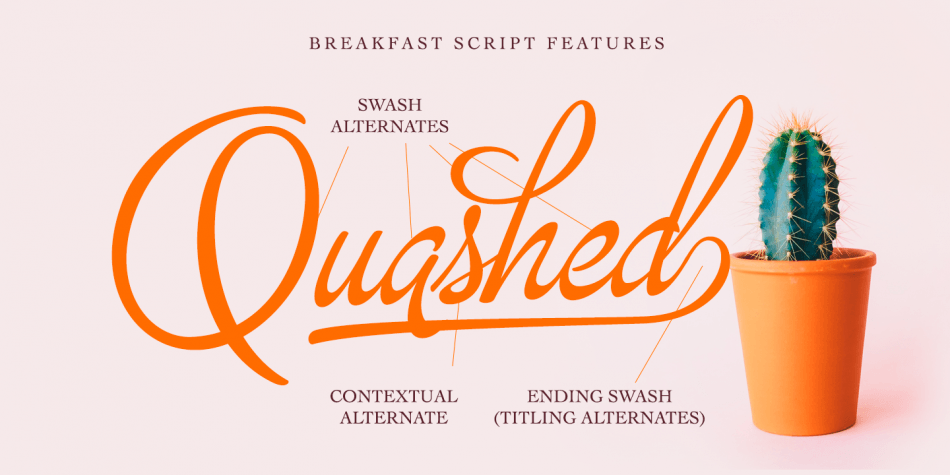 Breakfast Script