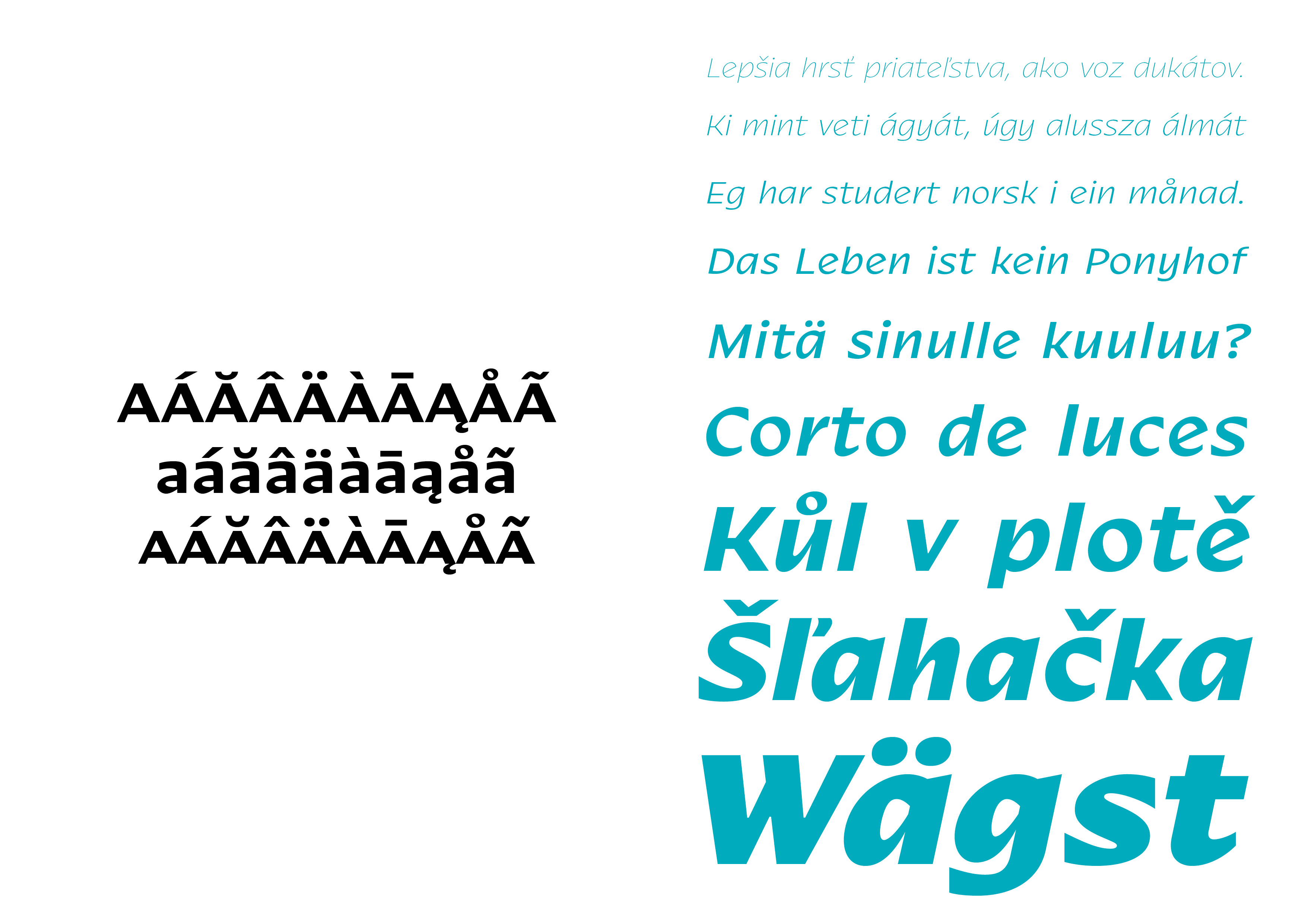 Nakoso Font Family