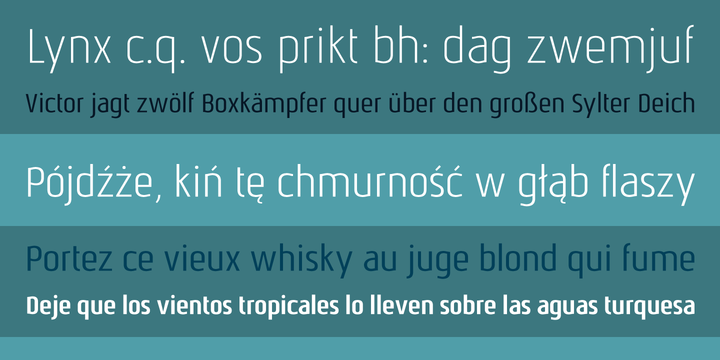 Nautikka Font Family Nautikka Font Family