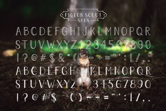 Pigeon Scout Font Collection