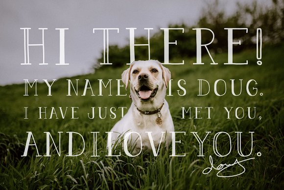 Pigeon Scout Font Collection