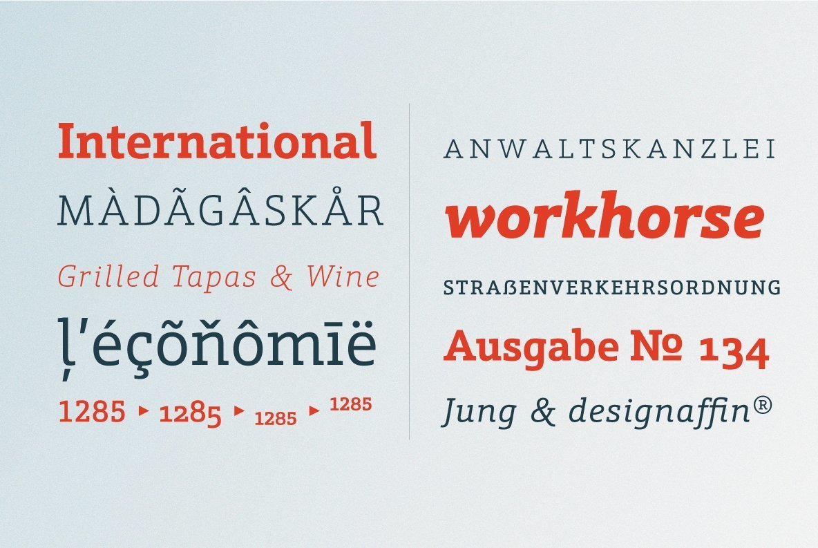 Schnebel Slab Font Family