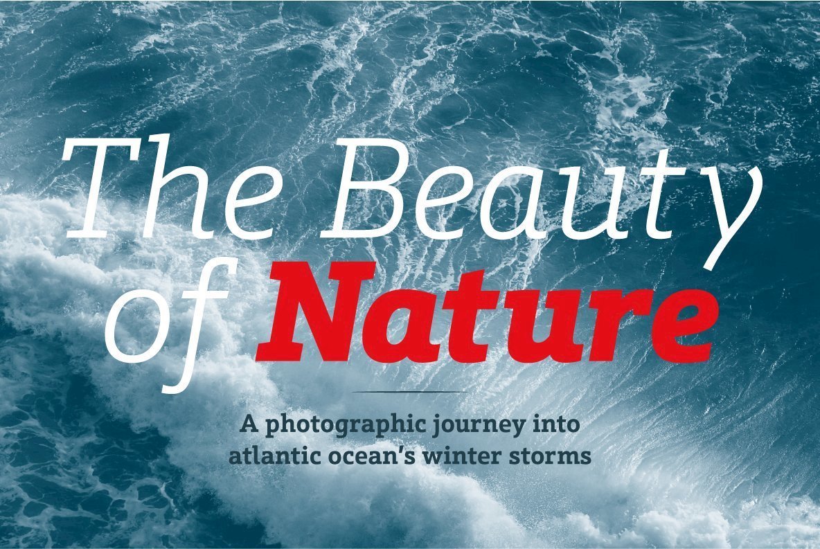 Schnebel Slab Font Family