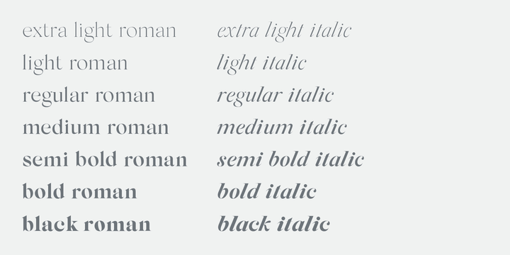 Silk Serif Font Family Silk Serif Font Family