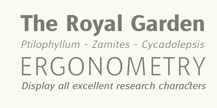 Alfabetica Font Family