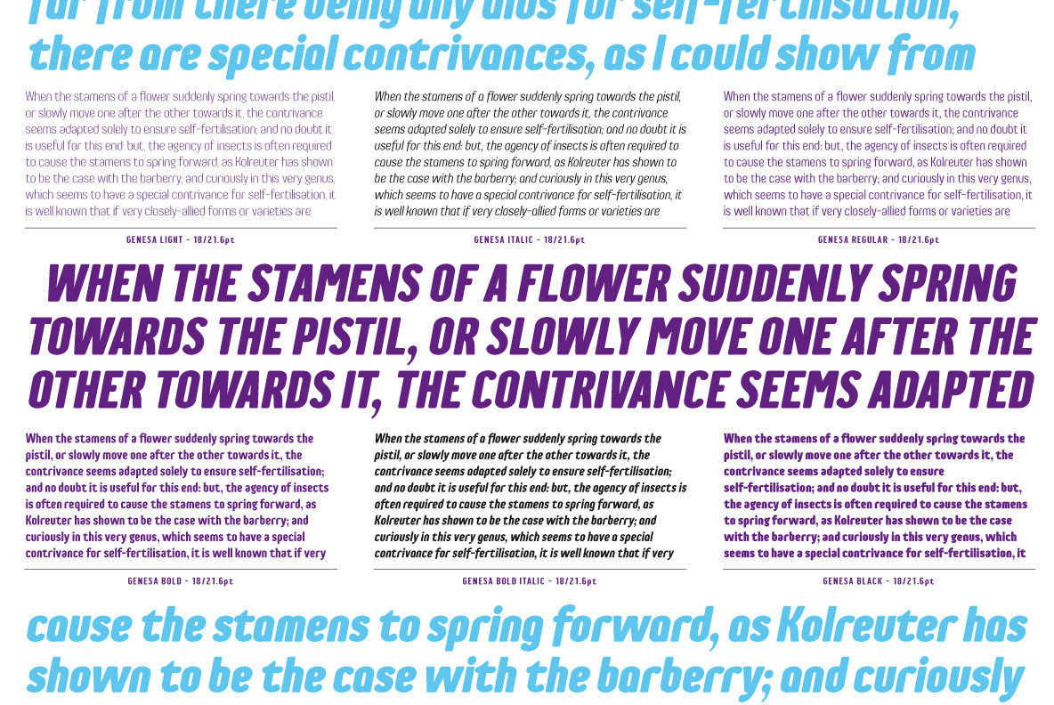 Genesa Font Family
