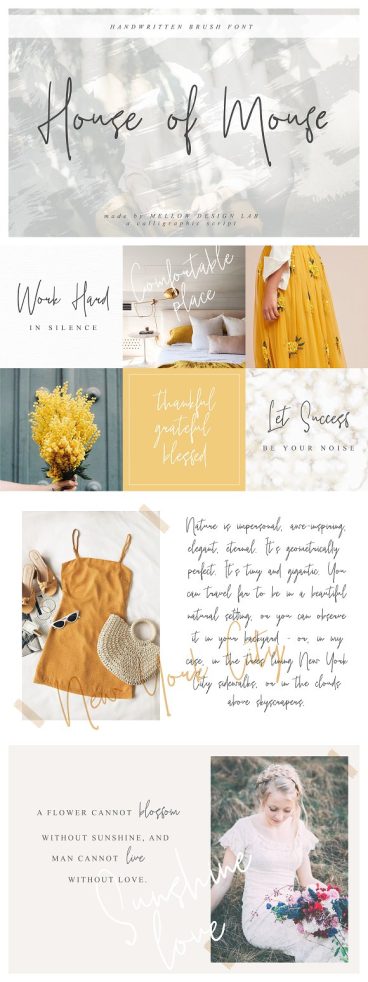 House of Mouse Script Font