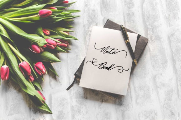 Pandaro Script Font