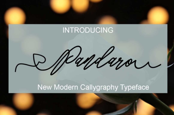 Pandaro Script Font