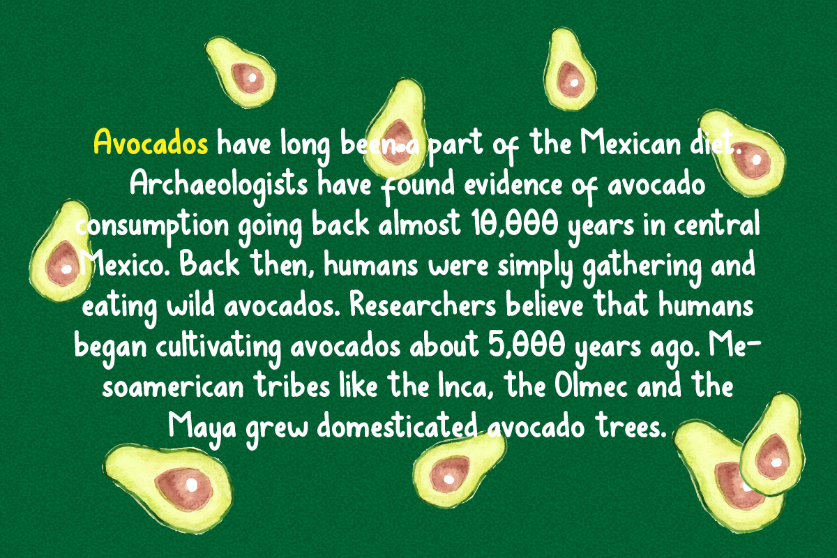 Avocados Font