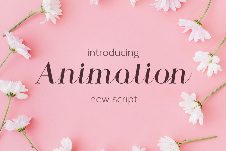 Fontbundles - Animation