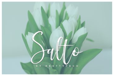 Fontbundles - Salto Font