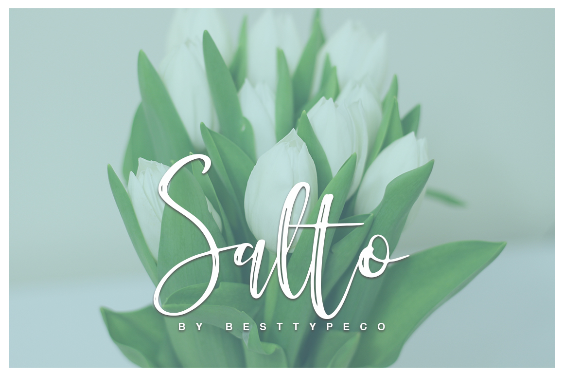 Fontbundles - Salto Font