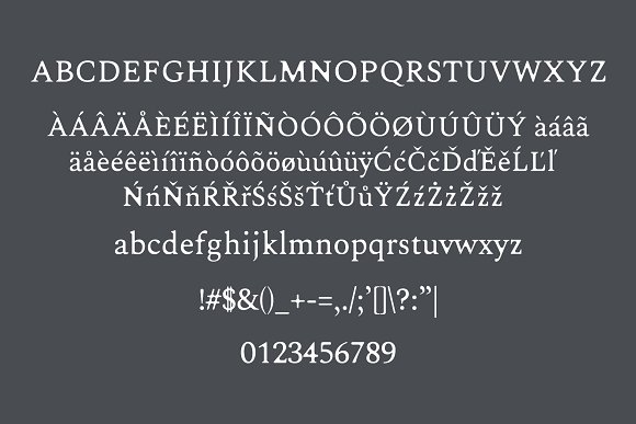 Karoll Modern Serif Font Family