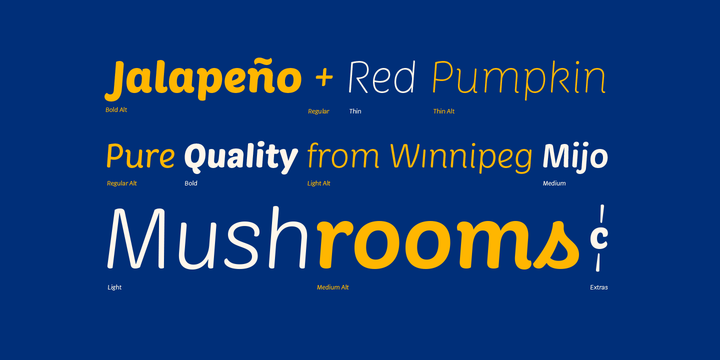 Market Font Family 12 - Free Font