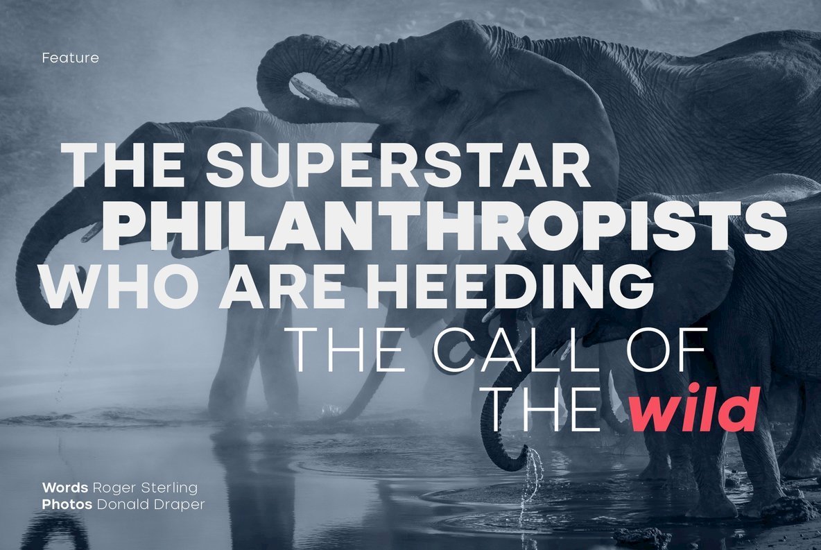 Nominee Font Family