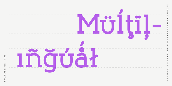 Nora Slab Font Family