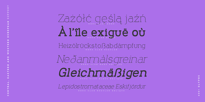 Nora Slab Font Family