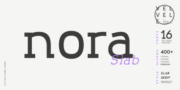 Nora Slab Font Family