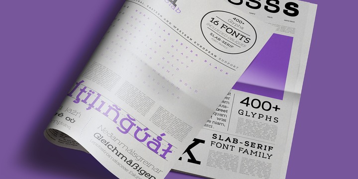 Nora Slab Font Family
