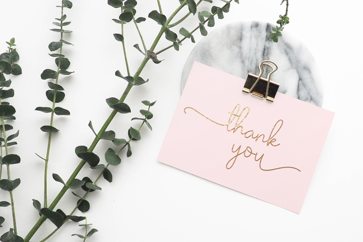 Olivia - Elegant Monoline Script Font