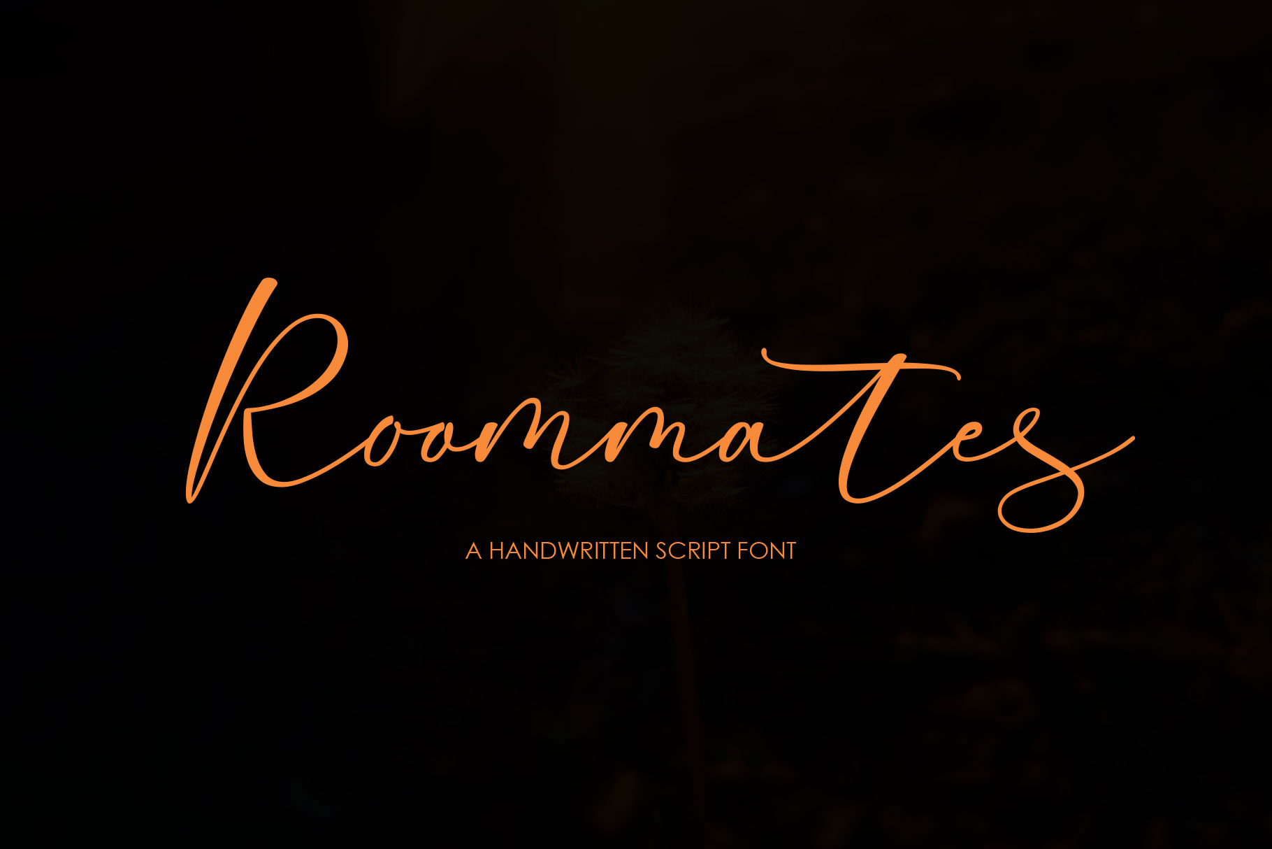 Roommates Script Font Family