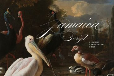 Jamaica Script Font