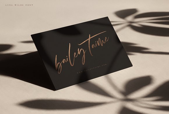 Luna Wilde Hand Lettered Font Luna Wilde Hand Lettered Font