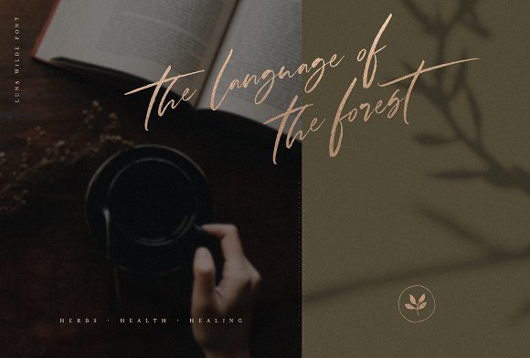 Luna Wilde Hand Lettered Font Luna Wilde Hand Lettered Font