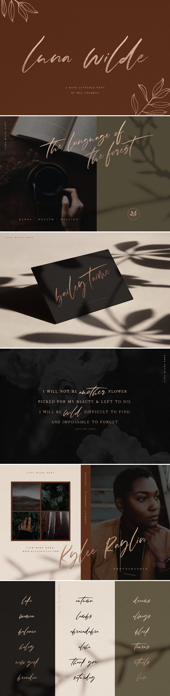 Luna Wilde Hand Lettered Font Luna Wilde Hand Lettered Font