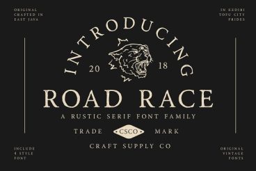 Road Race Font Family