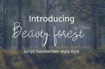 Beauty Forest