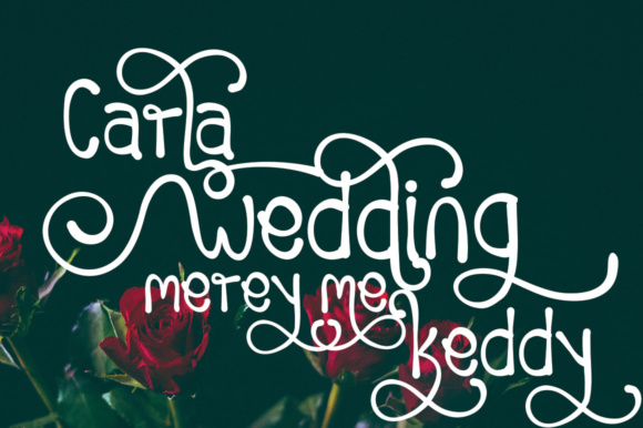 Huming Book Font