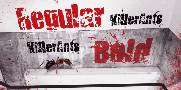 Killer Ants Font Family