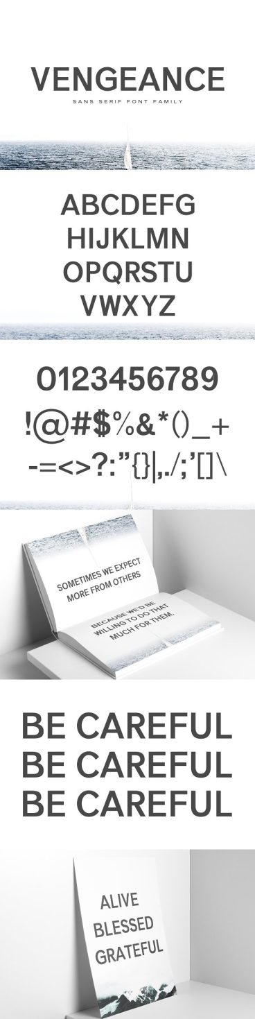 Vengeance Sans Serif Font Family