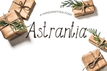 Astrantia Font