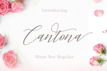 Cantona Italic Mulitilingual Script Font
