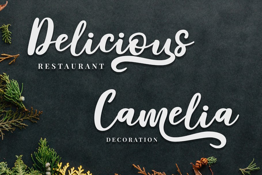 Delaras Script Font Delaras Script Font