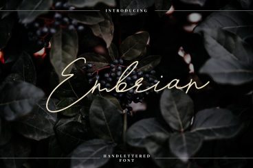 Embrain Font
