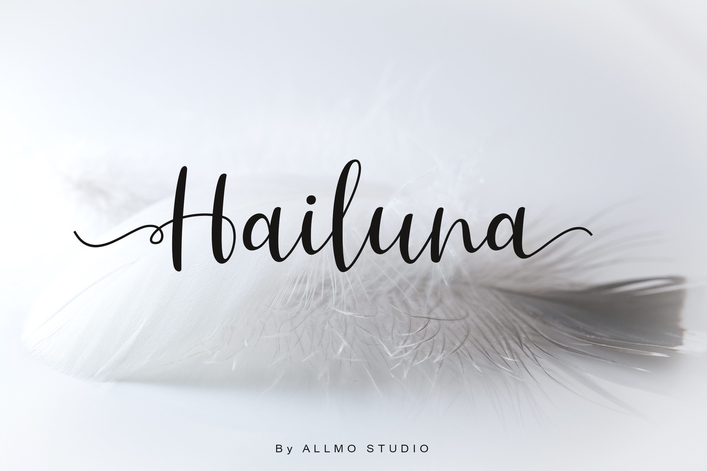 Hailuna Script Font