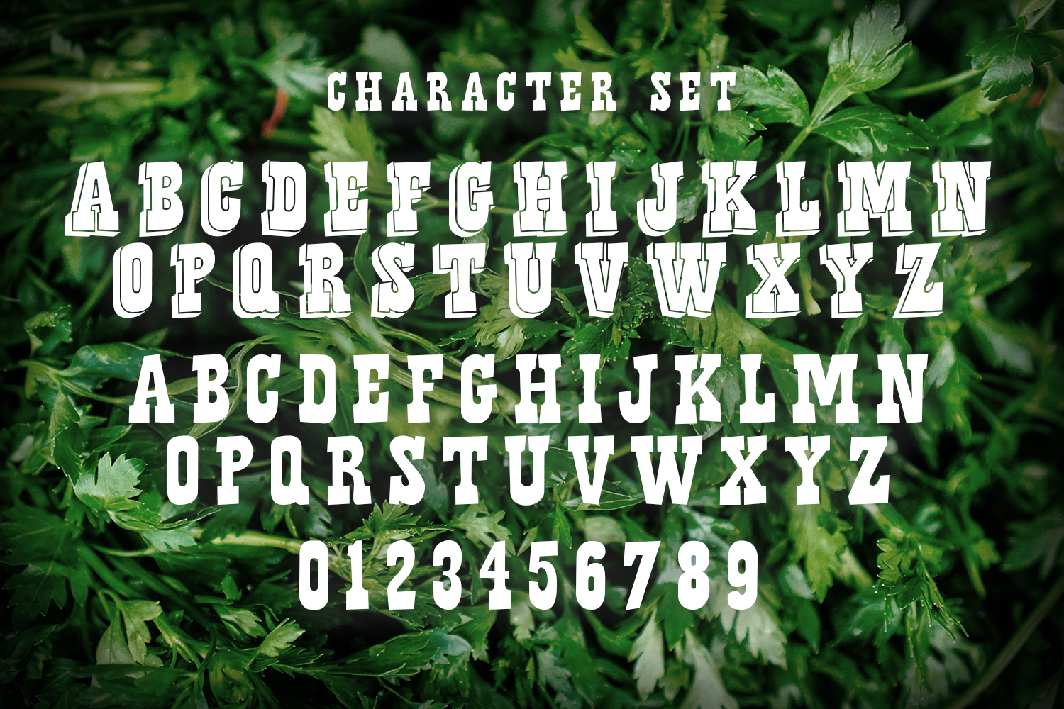 Ranch SaladOther Font