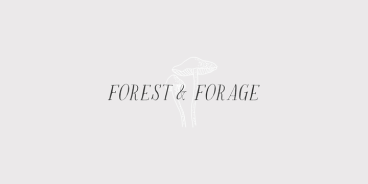 Rare Bird Specimen V Font Family
