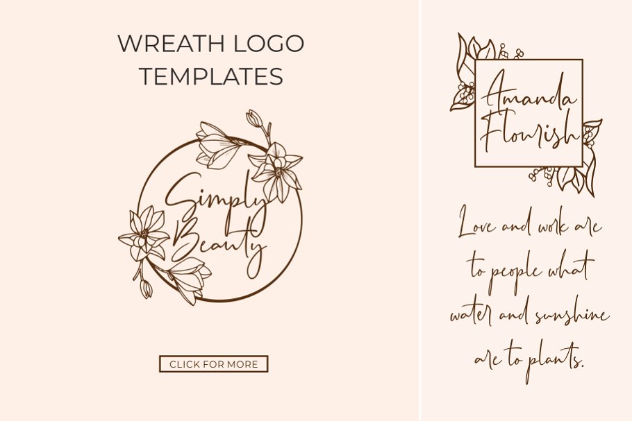Seville Script Fonts