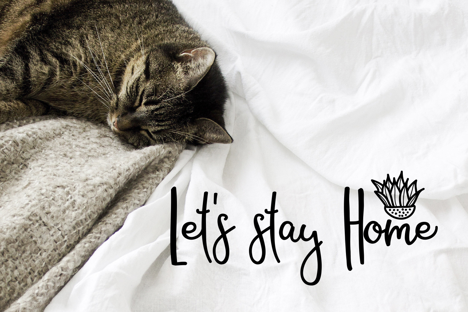 Stockholm Night Script Font