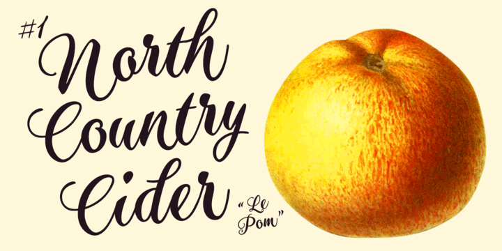 Aster Script Font