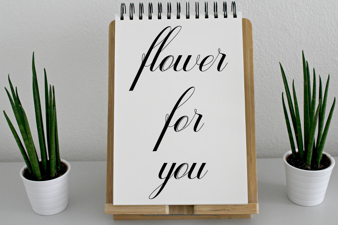 geshaneScript Font