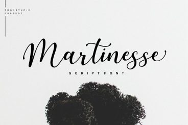 Martinesse - Beautiful Script Font